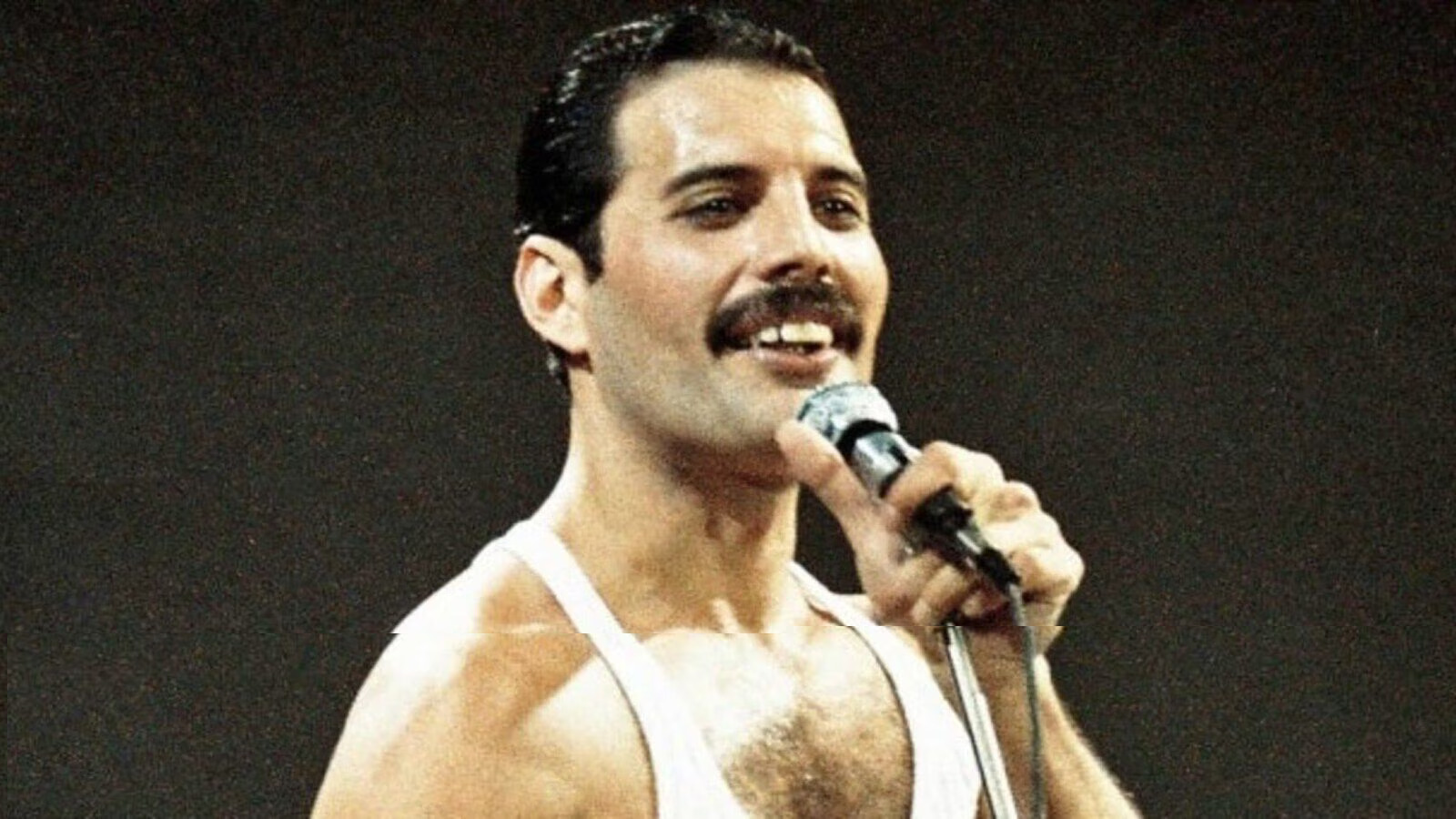 New Biography 'Love, Freddie' Reveals Freddie Mercury Secretly Fathered a Daughter in 1976