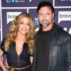 Denise Richards and Aaron Phypers Divorce After Six Years, Citing Irreconcilable Differences